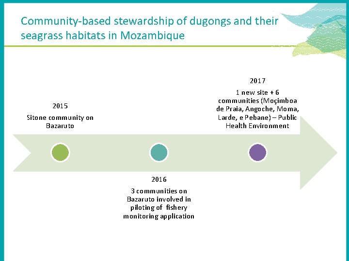 Community-based stewardship of dugongs and their seagrass habitats in Mozambique 2015 Sitone community on