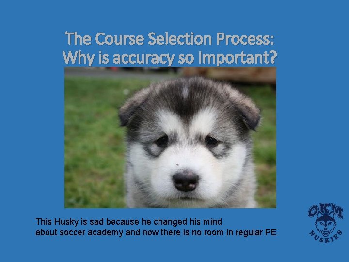 The Course Selection Process: Why is accuracy so Important? This Husky is sad because