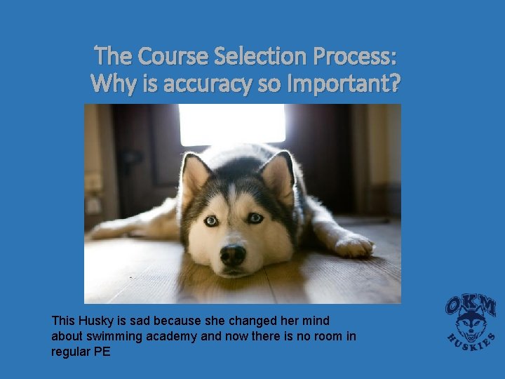 The Course Selection Process: Why is accuracy so Important? This Husky is sad because