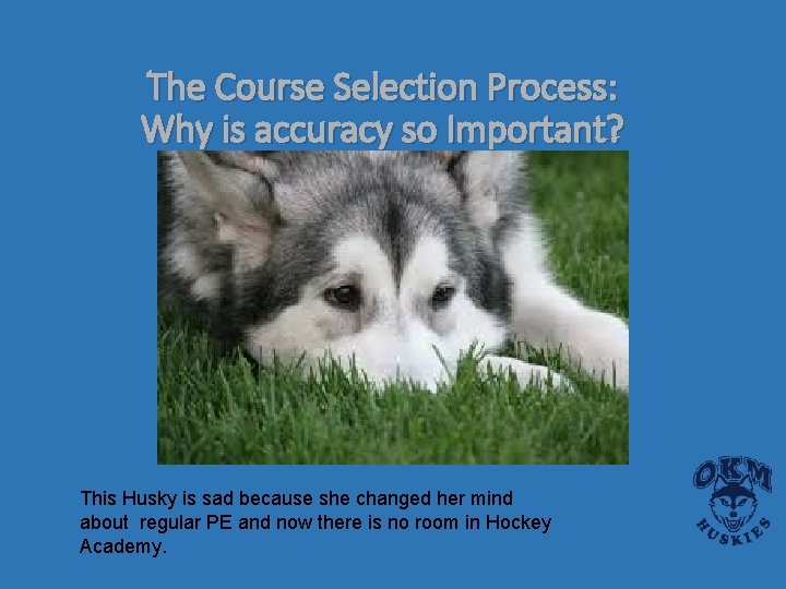 The Course Selection Process: Why is accuracy so Important? This Husky is sad because