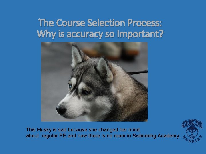 The Course Selection Process: Why is accuracy so Important? This Husky is sad because