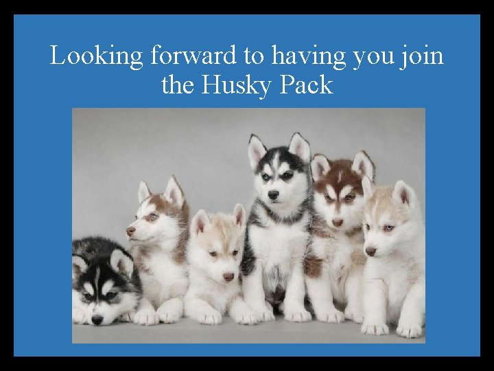 Looking forward to having you join the Husky Pack 