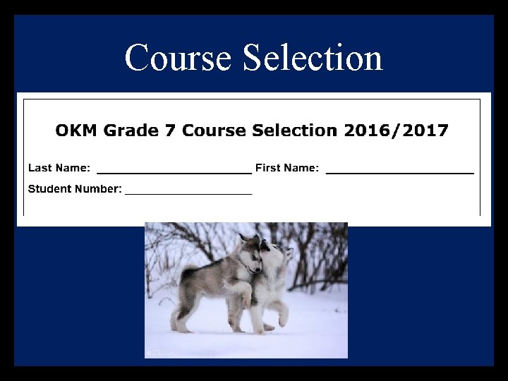 Course Selection 