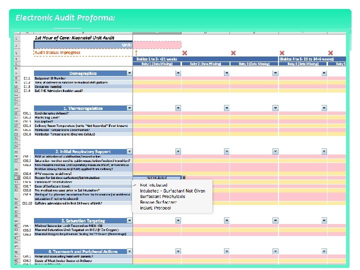 Electronic Audit Proforma: EOE Neonatal ODN October 2020 