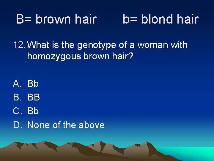 B= brown hair b= blond hair 12. What is the genotype of a woman B= brown hair b= blond hair 12. What is the genotype of a woman