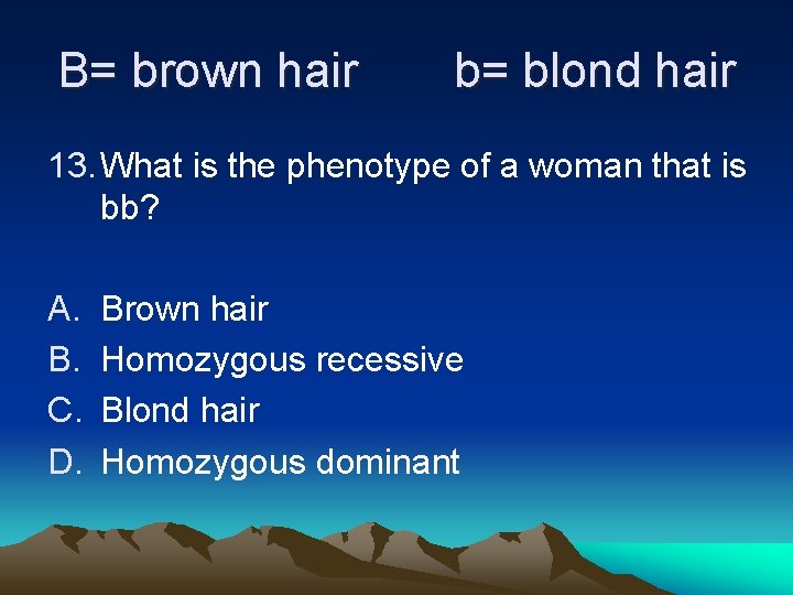 B= brown hair b= blond hair 13. What is the phenotype of a woman B= brown hair b= blond hair 13. What is the phenotype of a woman
