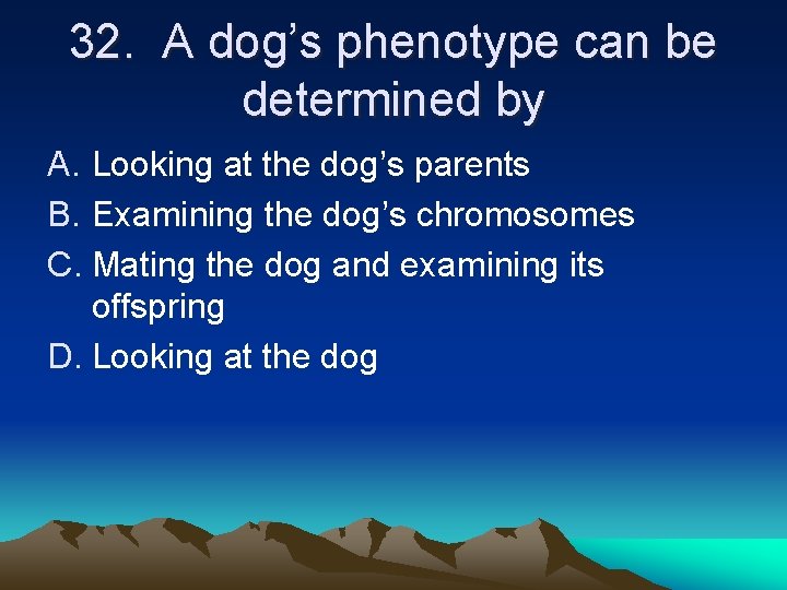 32. A dog’s phenotype can be determined by A. Looking at the dog’s parents 32. A dog’s phenotype can be determined by A. Looking at the dog’s parents
