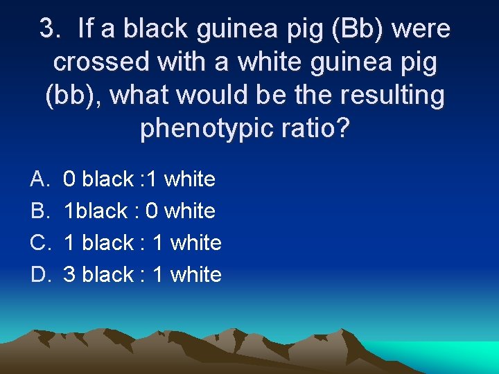 3. If a black guinea pig (Bb) were crossed with a white guinea pig 3. If a black guinea pig (Bb) were crossed with a white guinea pig