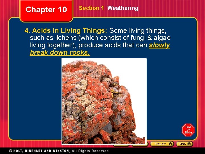 Chapter 10 Section 1 Weathering 4. Acids in Living Things: Some living things, such