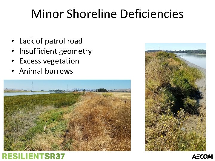 Minor Shoreline Deficiencies • • Lack of patrol road Insufficient geometry Excess vegetation Animal
