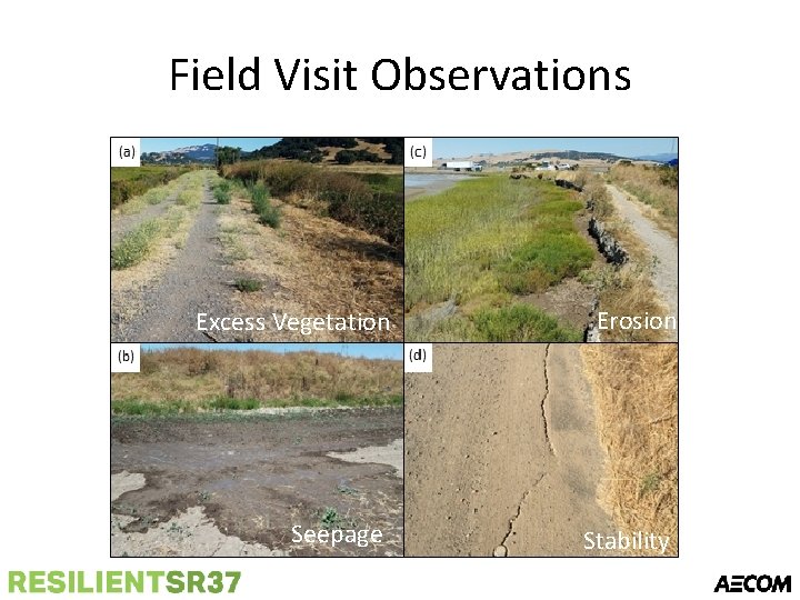 Field Visit Observations Excess Vegetation Erosion Seepage Stability 