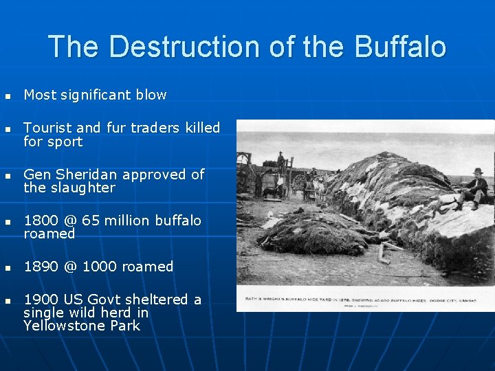 The Destruction of the Buffalo n Most significant blow n Tourist and fur traders