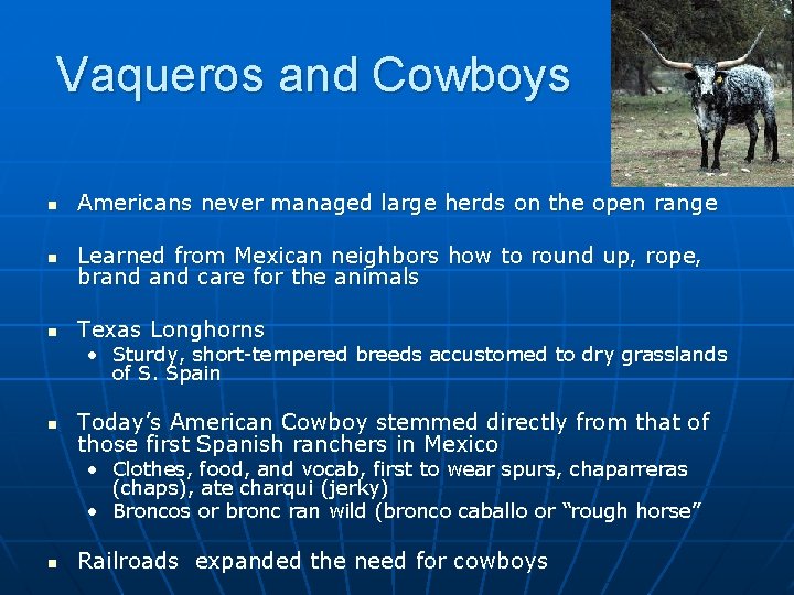 Vaqueros and Cowboys n Americans never managed large herds on the open range n