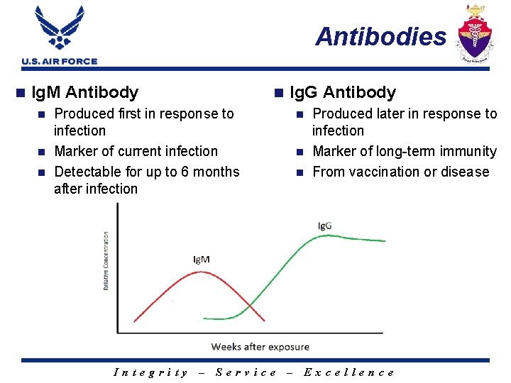 Antibodies n Ig. M Antibody n Ig. G Antibody Produced first in response to