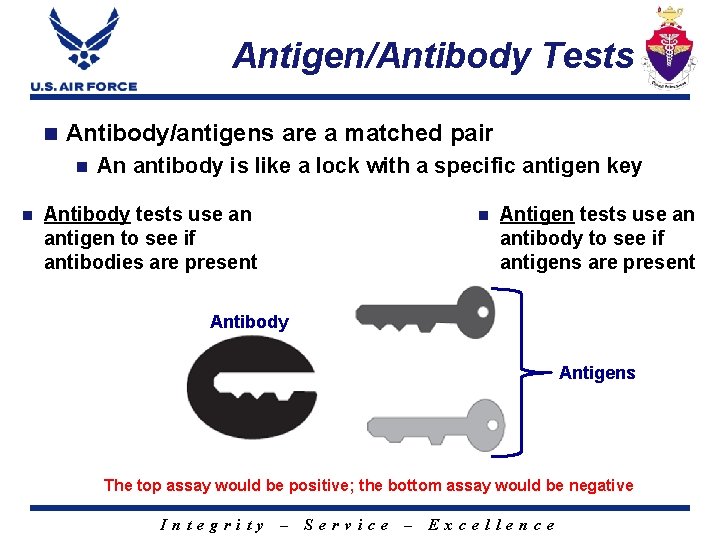 Antigen/Antibody Tests n Antibody/antigens are a matched pair n n An antibody is like