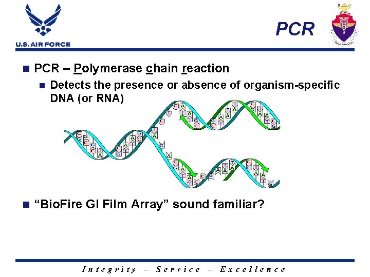 PCR n PCR – Polymerase chain reaction n n Detects the presence or absence