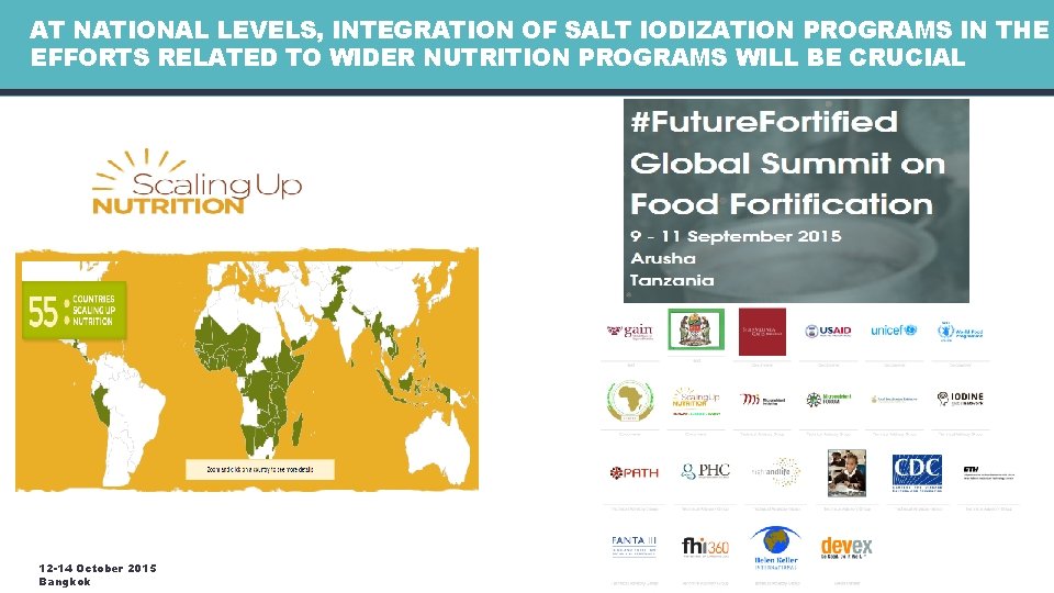 AT NATIONAL LEVELS, INTEGRATION OF SALT IODIZATION PROGRAMS IN THE EFFORTS RELATED TO WIDER AT NATIONAL LEVELS, INTEGRATION OF SALT IODIZATION PROGRAMS IN THE EFFORTS RELATED TO WIDER