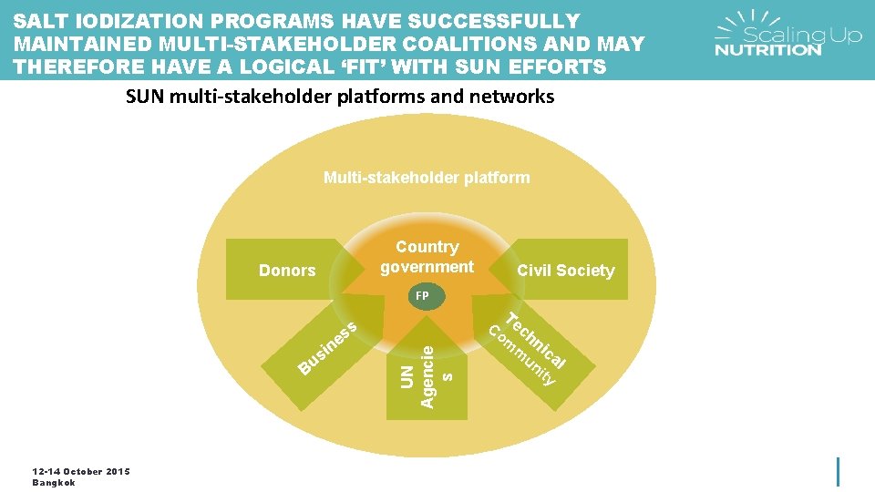 SALT IODIZATION PROGRAMS HAVE SUCCESSFULLY MAINTAINED MULTI-STAKEHOLDER COALITIONS AND MAY THEREFORE HAVE A LOGICAL