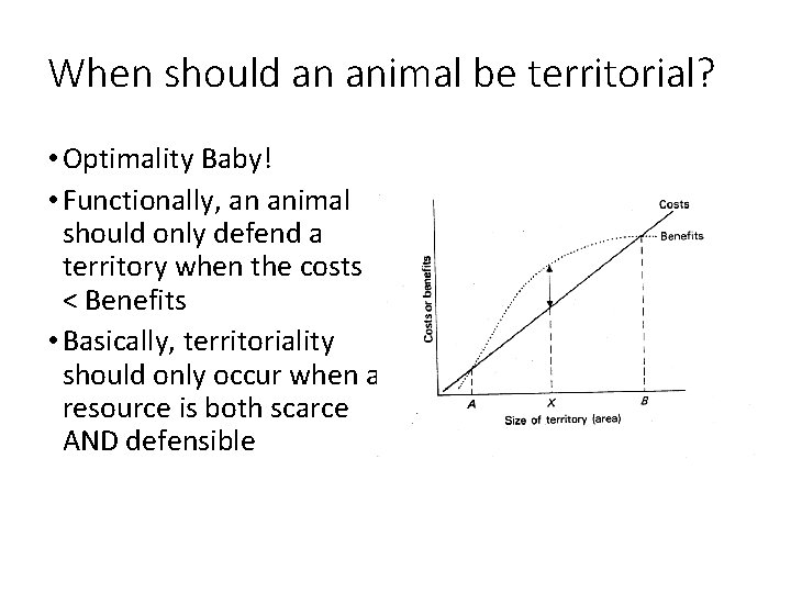 When should an animal be territorial? • Optimality Baby! • Functionally, an animal should