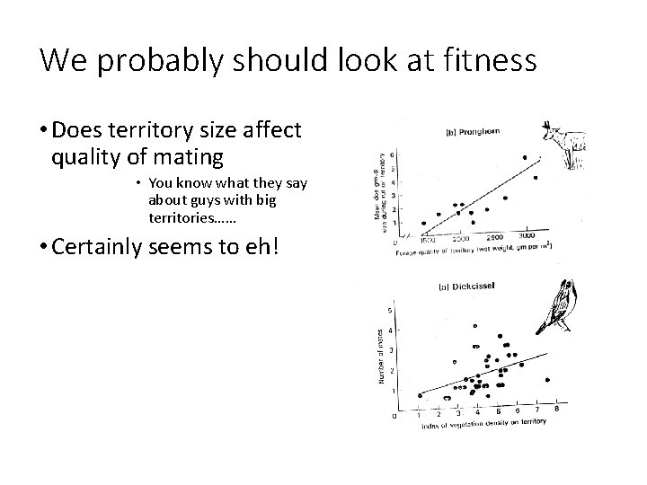 We probably should look at fitness • Does territory size affect quality of mating