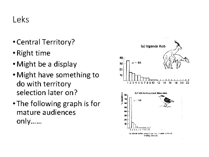 Leks • Central Territory? • Right time • Might be a display • Might