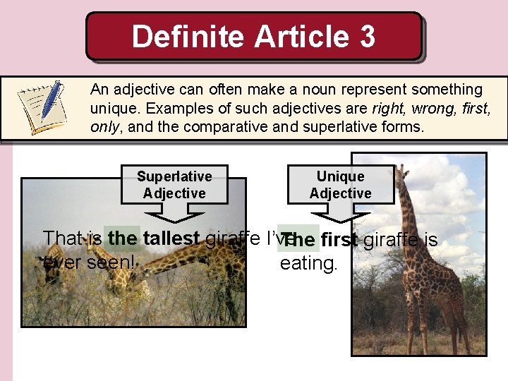 Definite Article 3 An adjective can often make a noun represent something unique. Examples