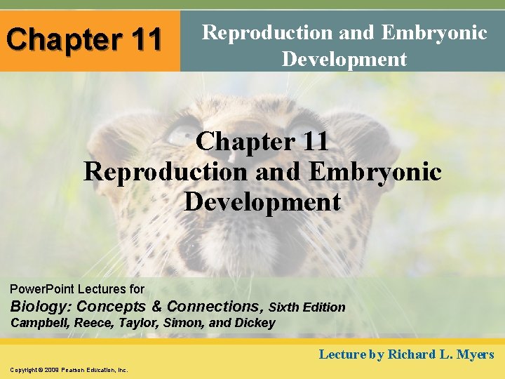 Chapter 11 Reproduction and Embryonic Development Power. Point Lectures for Biology: Concepts & Connections,