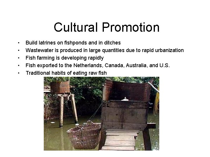 Cultural Promotion • • • Build latrines on fishponds and in ditches Wastewater is