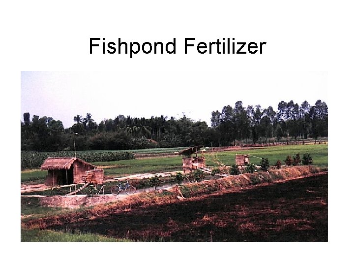 Fishpond Fertilizer 