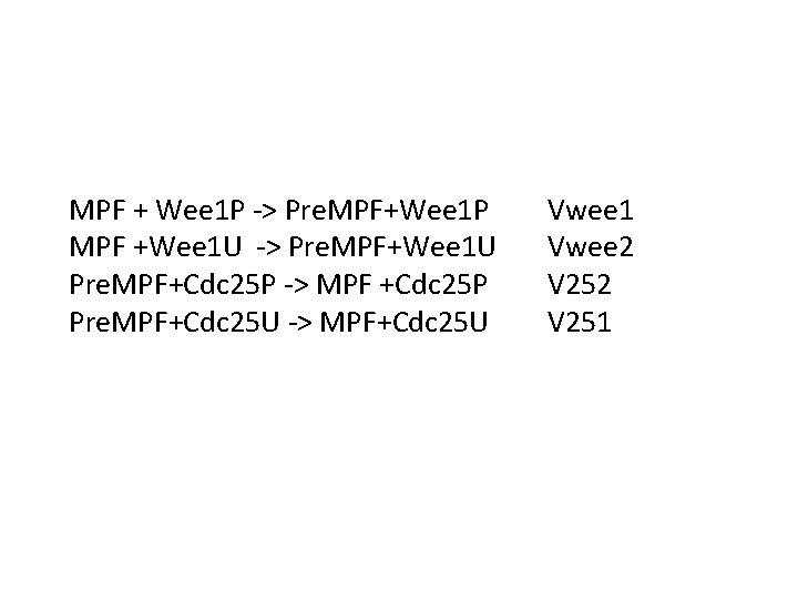 MPF + Wee 1 P -> Pre. MPF+Wee 1 P MPF +Wee 1 U