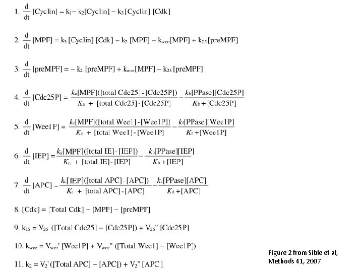 Figure 2 from Sible et al, Methods 41, 2007 