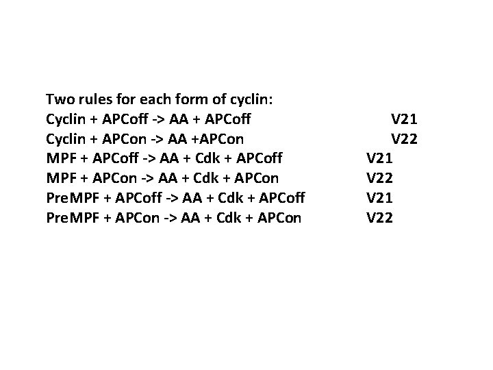 Two rules for each form of cyclin: Cyclin + APCoff -> AA + APCoff