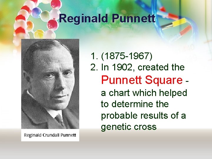 Reginald Punnett 1. (1875 -1967) 2. In 1902, created the Punnett Square - a