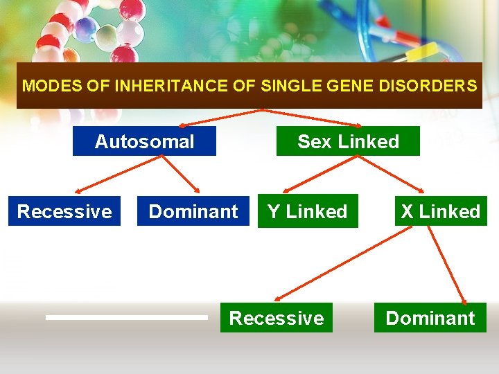 MODES OF INHERITANCE OF SINGLE GENE DISORDERS Autosomal Recessive Sex Linked Dominant Y Linked