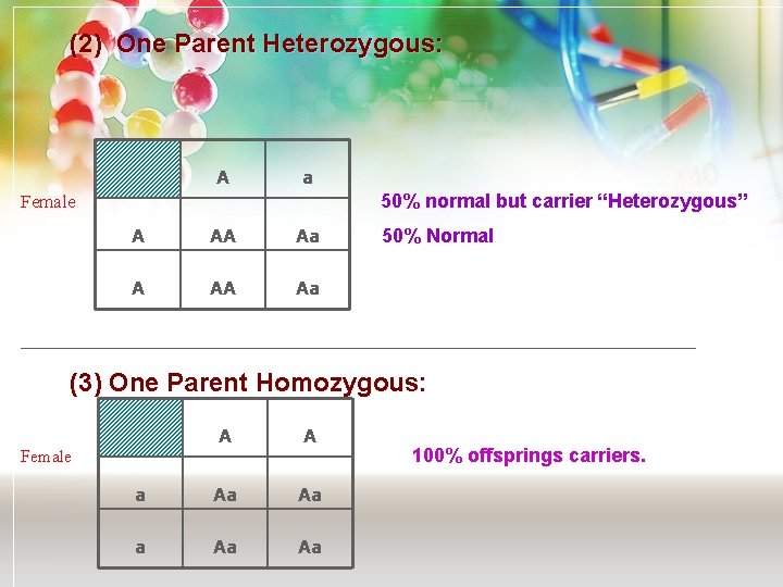 (2) One Parent Heterozygous: A a Female 50% normal but carrier “Heterozygous” A AA