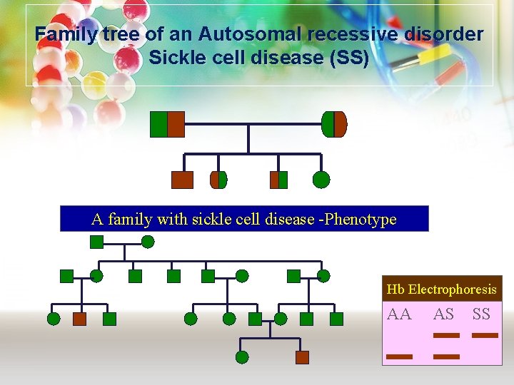 Family tree of an Autosomal recessive disorder Sickle cell disease (SS) A family with