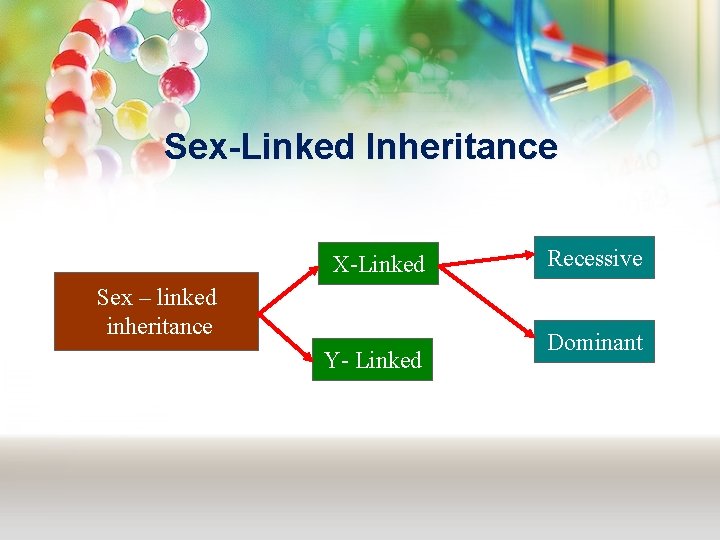 Sex-Linked Inheritance X-Linked Sex – linked inheritance Y- Linked Recessive Dominant 