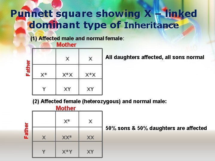 Punnett square showing X – linked dominant type of Inheritance (1) Affected male and