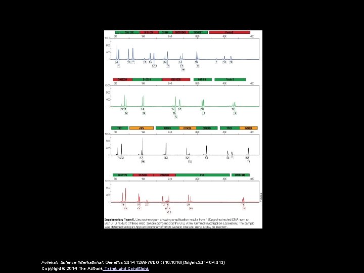 Forensic Science International: Genetics 2014 1269 -76 DOI: (10. 1016/j. fsigen. 2014. 013) Copyright