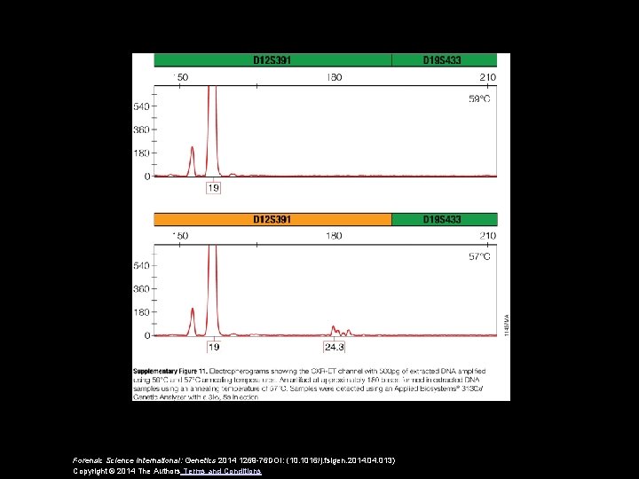 Forensic Science International: Genetics 2014 1269 -76 DOI: (10. 1016/j. fsigen. 2014. 013) Copyright