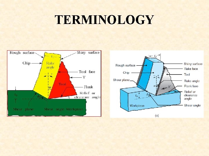 TERMINOLOGY 