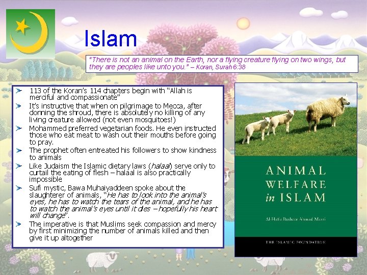 Islam “There is not an animal on the Earth, nor a flying creature flying