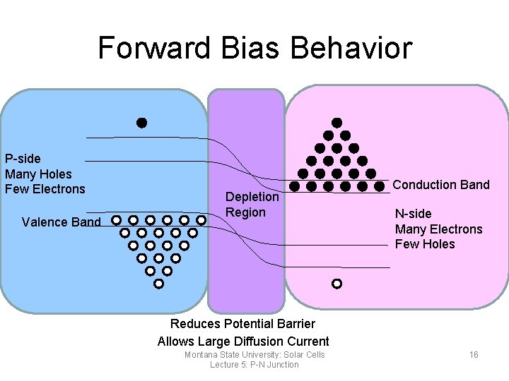 Forward Bias Behavior P-side Many Holes Few Electrons Valence Band Depletion Region Conduction Band