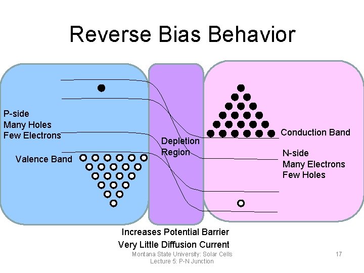 Reverse Bias Behavior P-side Many Holes Few Electrons Valence Band Depletion Region Conduction Band