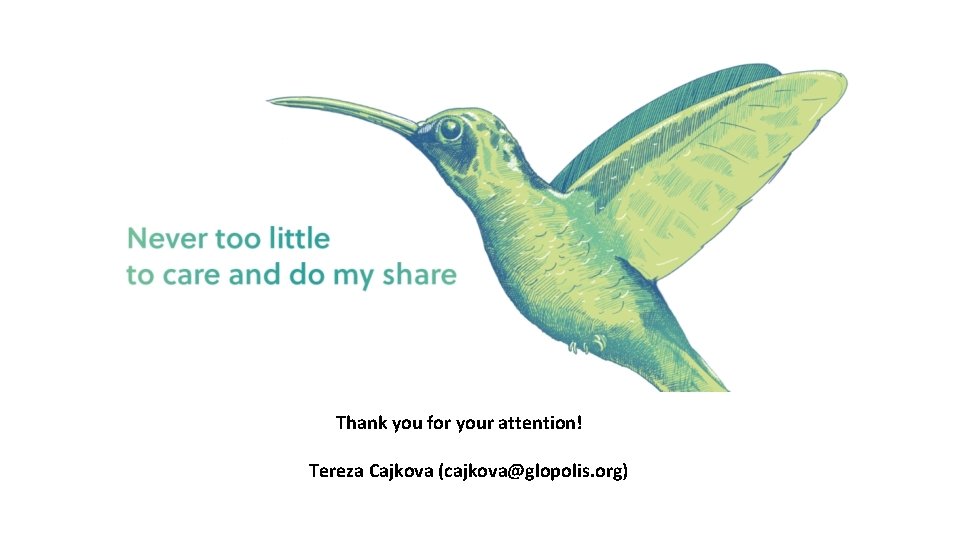 Thank you for your attention! Tereza Cajkova (cajkova@glopolis. org) 