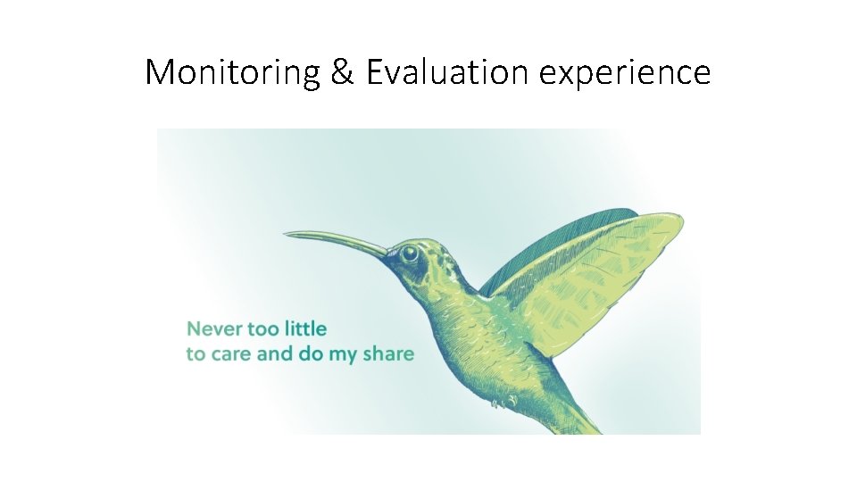 Monitoring & Evaluation experience 