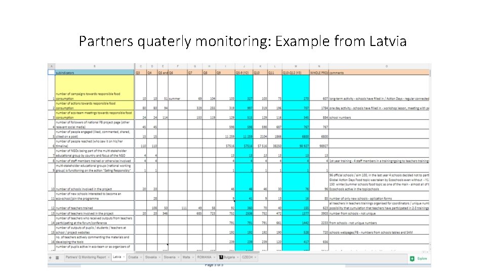 Partners quaterly monitoring: Example from Latvia 