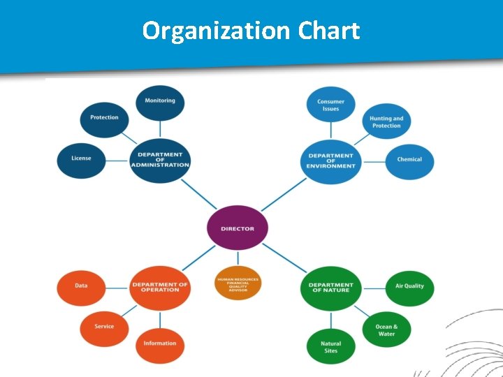 Organization Chart 