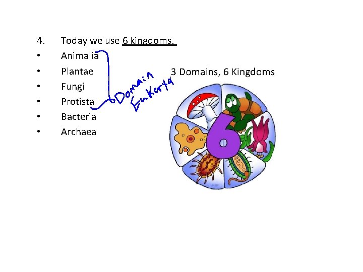 4. • • • Today we use 6 kingdoms. Animalia Plantae Fungi Protista Bacteria