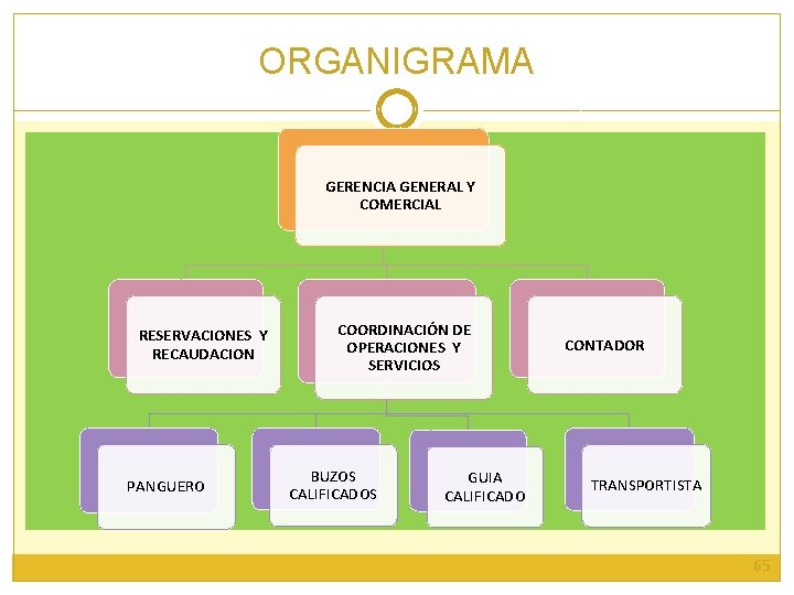 ORGANIGRAMA GERENCIA GENERAL Y COMERCIAL RESERVACIONES Y RECAUDACION PANGUERO COORDINACIÓN DE OPERACIONES Y SERVICIOS